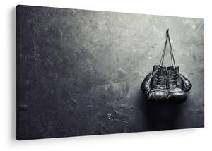 Slika boksarskih rokavic (90x60 cm)