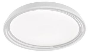 Fischer & Honsel 20807 - LED Prigušiva stropna svjetiljka DUA LED/22W/230V