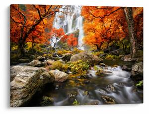 Slika - Slapovi v oranžnem gozdu (70x50 cm)