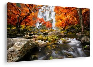 Slika - Slapovi v oranžnem gozdu (90x60 cm)