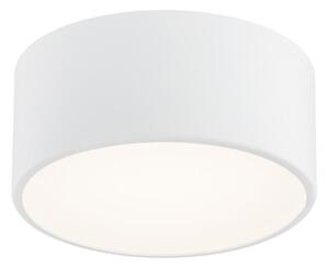 Argon 3885 - LED Stropna svjetiljka VICHY LED/13,5W/230V bijela