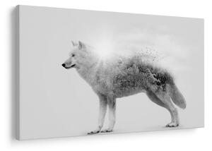 Slika - Arktični volk zrcali divjo pokrajino, črno-belo (90x60 cm)