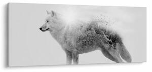 Slika - Arktični volk zrcali divjo pokrajino, črno-belo (120x50 cm)