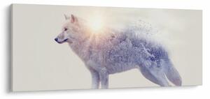 Slika - Arktični volk zrcali divjo pokrajino (120x50 cm)