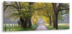 Slika - Smoky Mountains, Gatlinburg, ZDA (120x50 cm)