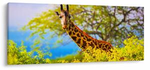 Slika žirafe v Afriki (120x50 cm)