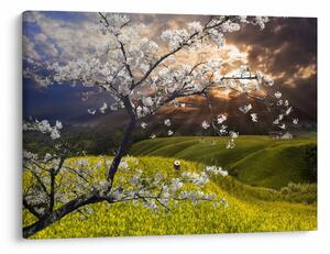 Slika - Cvetoče drevo v pokrajini (70x50 cm)