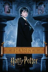 Ilustracija Harry Potter - Harry, (26.7 x 40 cm)
