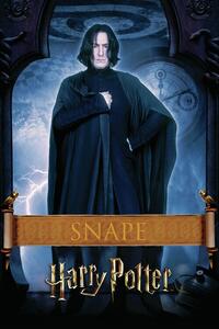 Ilustracija Harry Potter - Snape