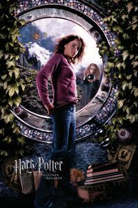 Ilustracija Harry Potter - Hermione