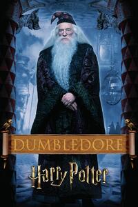 Ilustracija Harry Potter - Dumbledore, (26.7 x 40 cm)