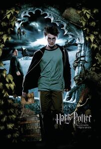 Ilustracija Harry Potter - Harry, (26.7 x 40 cm)