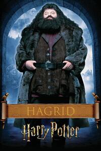 Ilustracija Harry Potter - Hargrid, (26.7 x 40 cm)