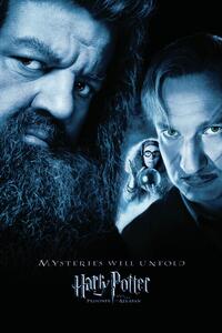 Ilustracija Harry Potter - Hagrid & Lupin