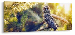 Slika sove na drevesu (120x50 cm)