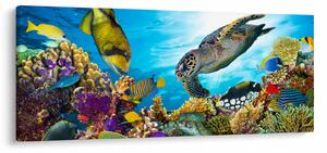 Slika koralnega grebena (120x50 cm)