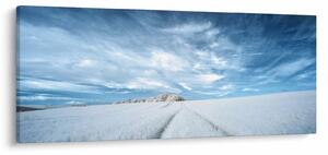 Slika polja (120x50 cm)