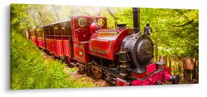 Slika parnega vlaka (120x50 cm)