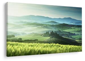 Slika - Toskana, Italija (90x60 cm)