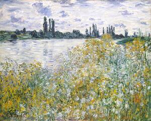 Reprodukcija Île aux Fleurs near Vétheuil (1880), Claude Monet