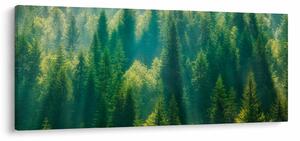 Slika - Borov gozd (120x50 cm)