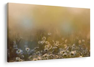 Slika - Oljna slika marjetic (90x60 cm)