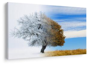 Slika - Sprememba sezone (90x60 cm)
