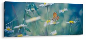 Slika - Metulj na marjetici (120x50 cm)