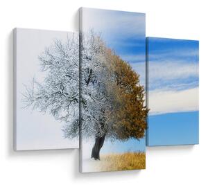Slika - Sprememba sezone (90x60 cm)