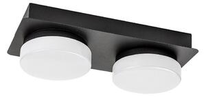 Rabalux 75002 - LED Stropna kupaonska svjetiljka ATTICHUS 2xLED/5,5W/230V IP44