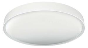 LED Stropna svjetiljka SAMER LED/24W/230V 4000K