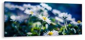 Slika marjetic (120x50 cm)