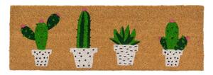 Otirač od kokosovih vlakana 25x75 cm Cactus – Casa Selección