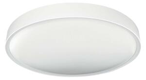 LED Stropna svjetiljka SAMER LED/40W/230V 4000K