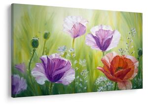 Slika - Makovi (90x60 cm)