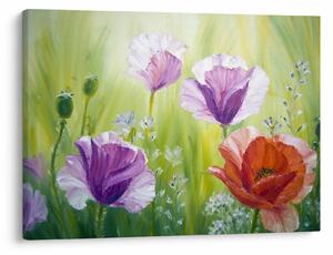 Slika - Makovi (70x50 cm)