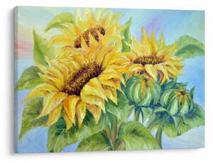 Slika cvetočih sončnic (70x50 cm)