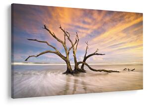 Slika drevesa v oceanu (90x60 cm)