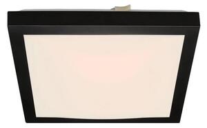 Briloner 3502-015 - LED Stropna svjetiljka FLEDO LED/12W/230V