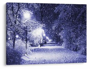 Slika - Čarobna zimska noč (70x50 cm)