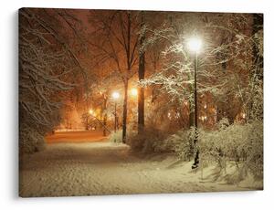 Slika - Snežni park (70x50 cm)