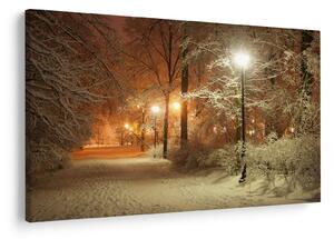 Slika - Snežni park (90x60 cm)