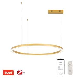 Immax NEO 07217L-LED Prigušivi luster na sajli FINO 60W/230V 80cm zlatna Tuya+DU