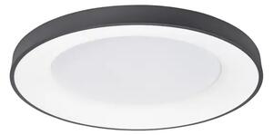 RANDO THIN PLAFONSKA SVJETILJKA LED 50W/3000K/2864lm/DIMM/IP20/CRNA NL9353853