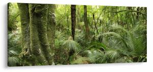 Slika tropskega deževnega gozda (120x50 cm)