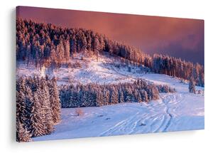 Slika zimske pokrajine (90x60 cm)