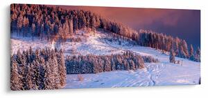 Slika zimske pokrajine (120x50 cm)