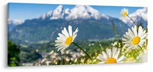 Slika - Pomlad v Alpah (120x50 cm)