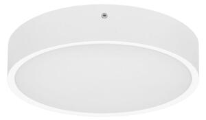 Ecolite WMAT350-25W/BI - LED Stropna svjetiljka MARTIN LED/25W/230V IP65 bijela