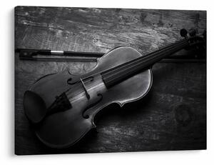Slika - Viola (70x50 cm)
